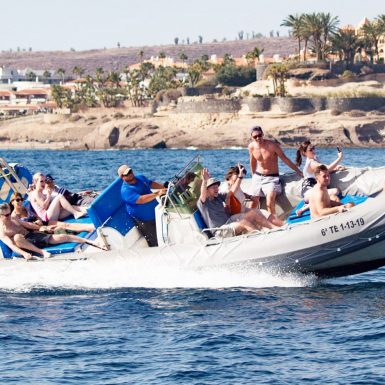 Avistamiento de ballenas tenerife